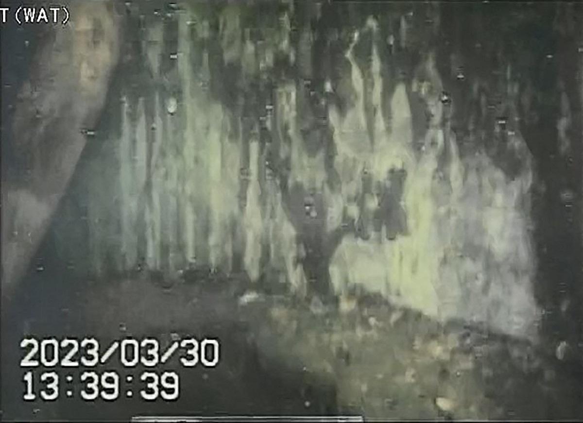 Video probe shows internal damage to Fukushima reactor