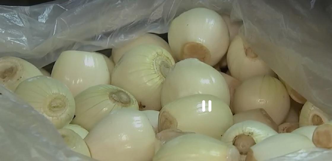 DA eyes issuing onion import order in May GMA News Online
