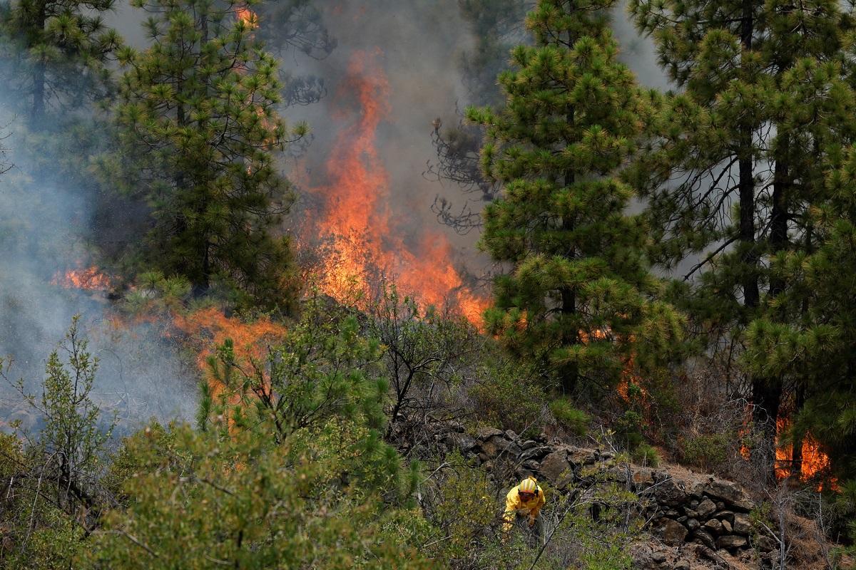 Thousands evacuated as Spanish firefighters battle La Palma wildfire