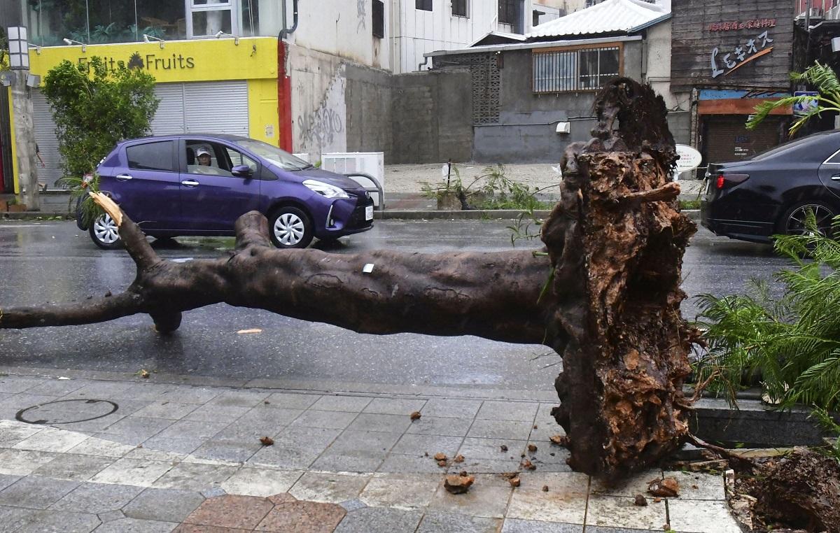 Typhoon Khanun kills two in Japan’s Okinawa, injures at least 62