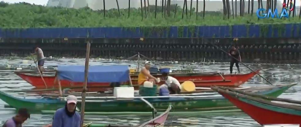 Philippine marine life under threat from industrial fishing