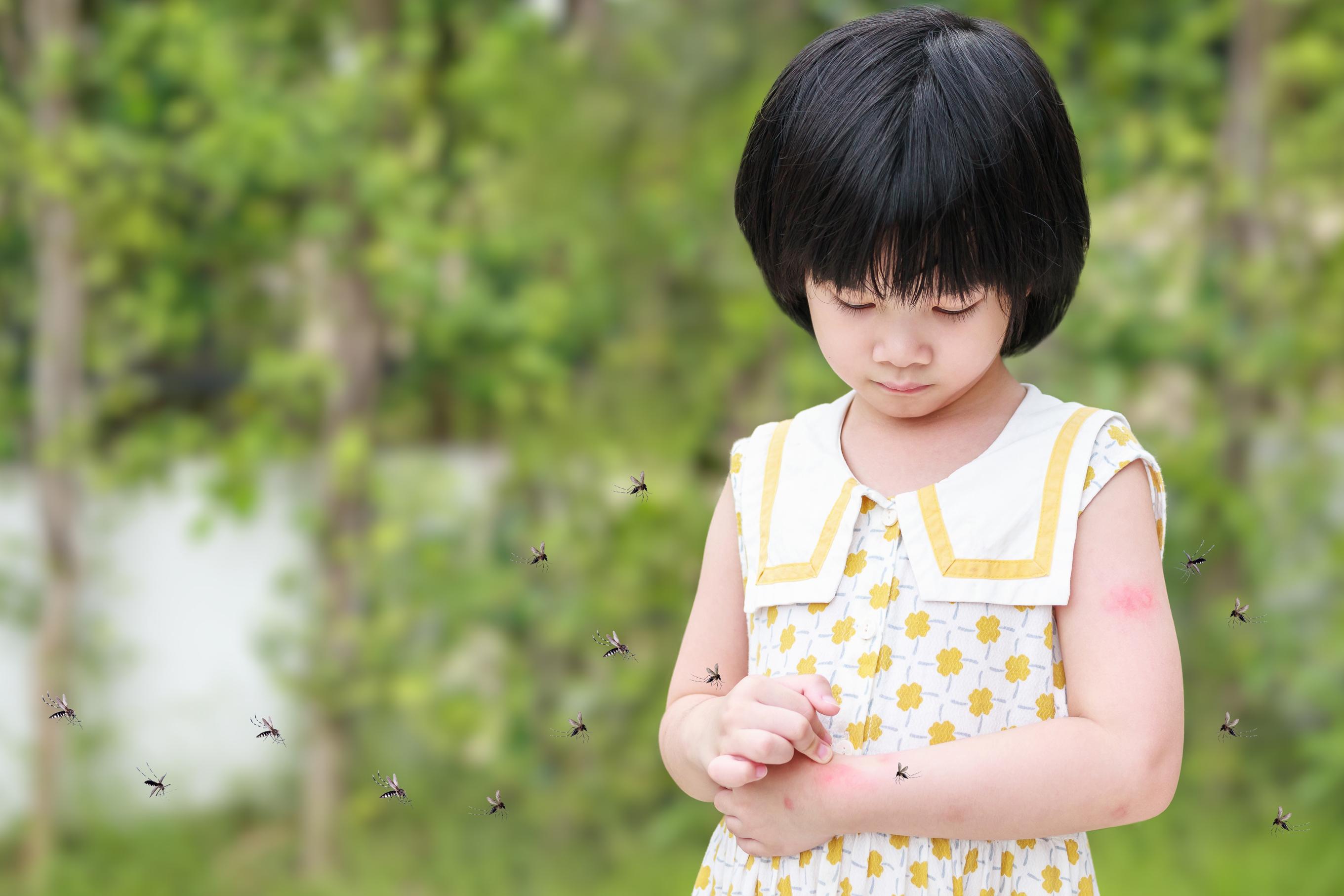 Here’s the buzz on insect repellent