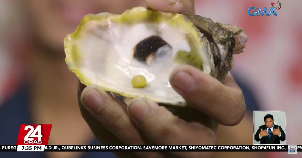 Can oysters produce pearls? Kuya Kim answers GMA News Online