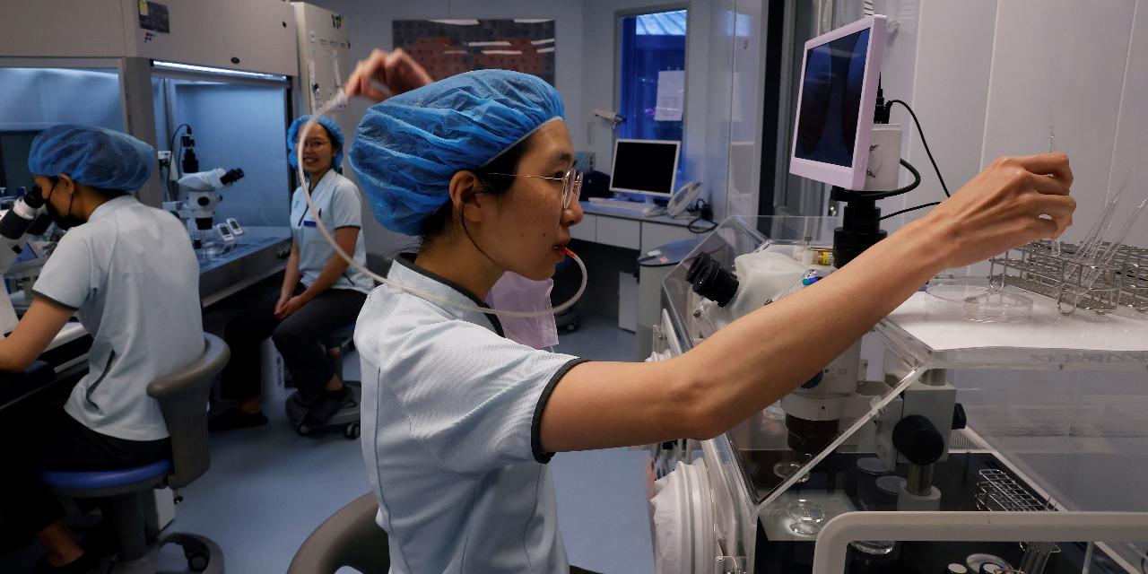 AI tools help choose best embryos for IVF