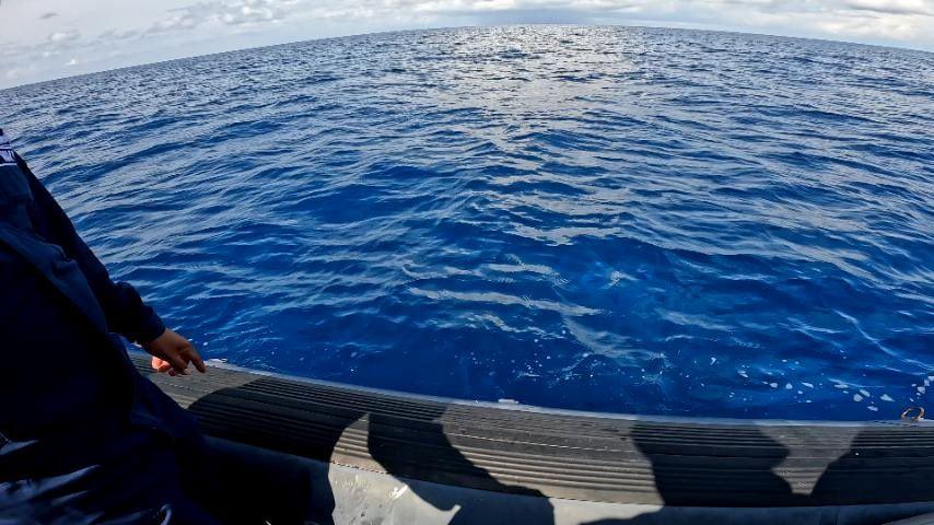 Massive coral harvesting occurring along Rozul Reef in WPS, AFP says