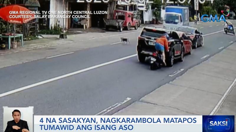 Motorist allows dog to cross street, results in 4-vehicle accident in Pangasinan thumbnail