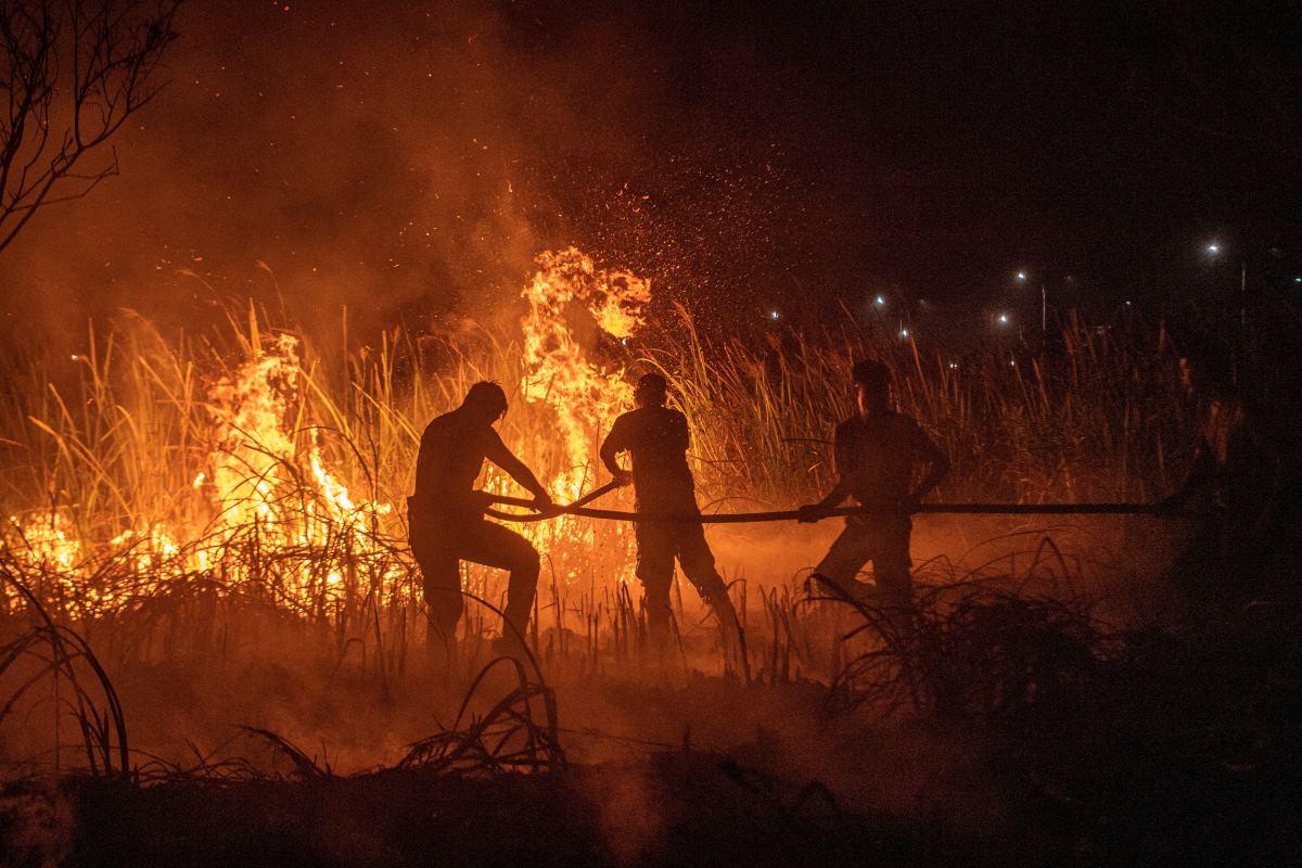 Wildfires hit South Sumatra in Indonesia