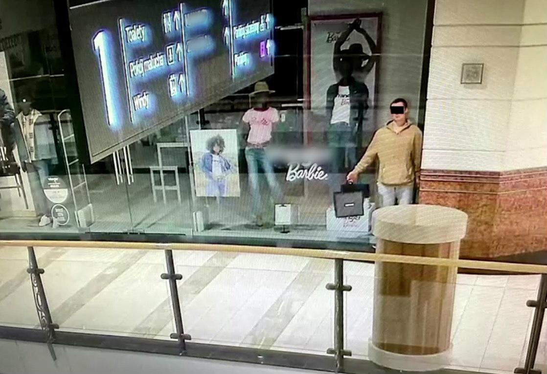 Polish cops snag thief who pretended to be mannequin