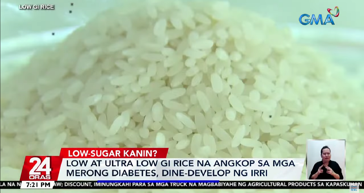 IRRI develops healthier rice varieties for diabetes patients GMA News