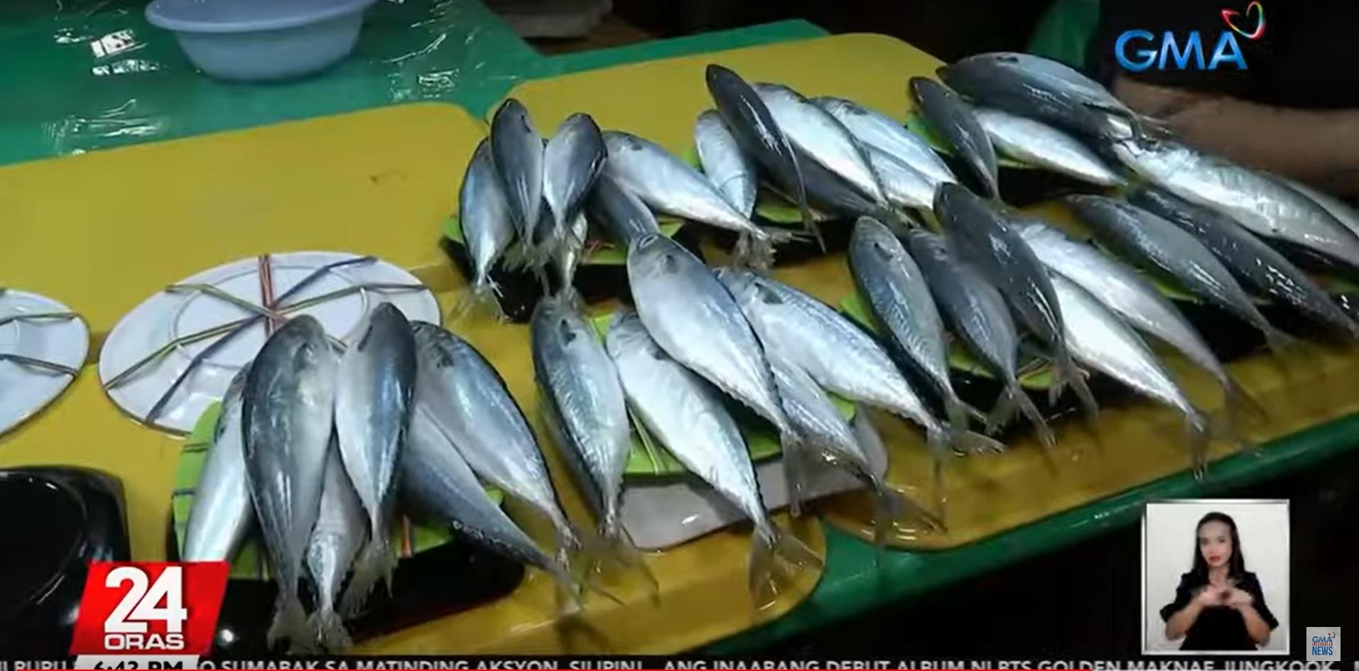 Negros Oriental chemical spill prompts BFAR warning on aquatic food consumption – GMA Network