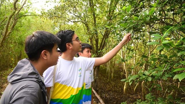 Camp participants explore the vast Mangrove Forest situated in Pico de Loro