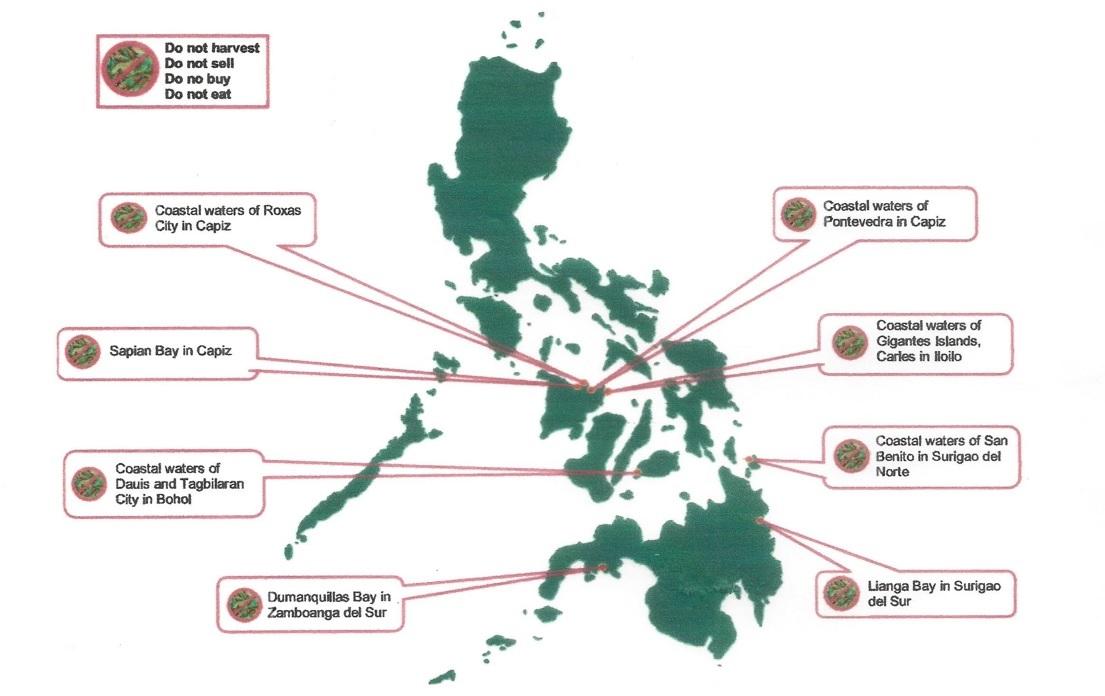 Toxic red tide detected in 8 areas in Visayas, Mindanao