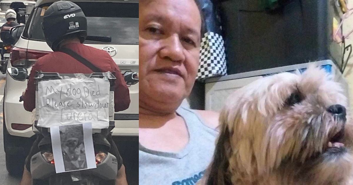 Motorcycle driver mourns for his pet in the most touching way