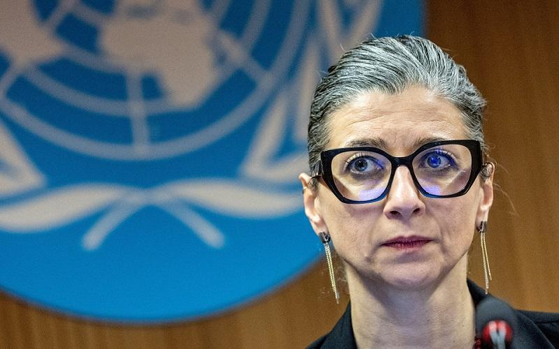 UN expert in Israel genocide accusation says she has been threatened