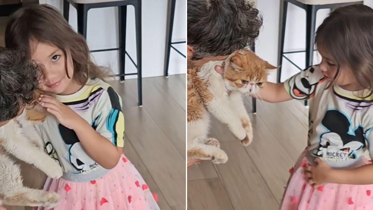 Nico Bolzico reveals pet cat El Gato is back home after almost a month