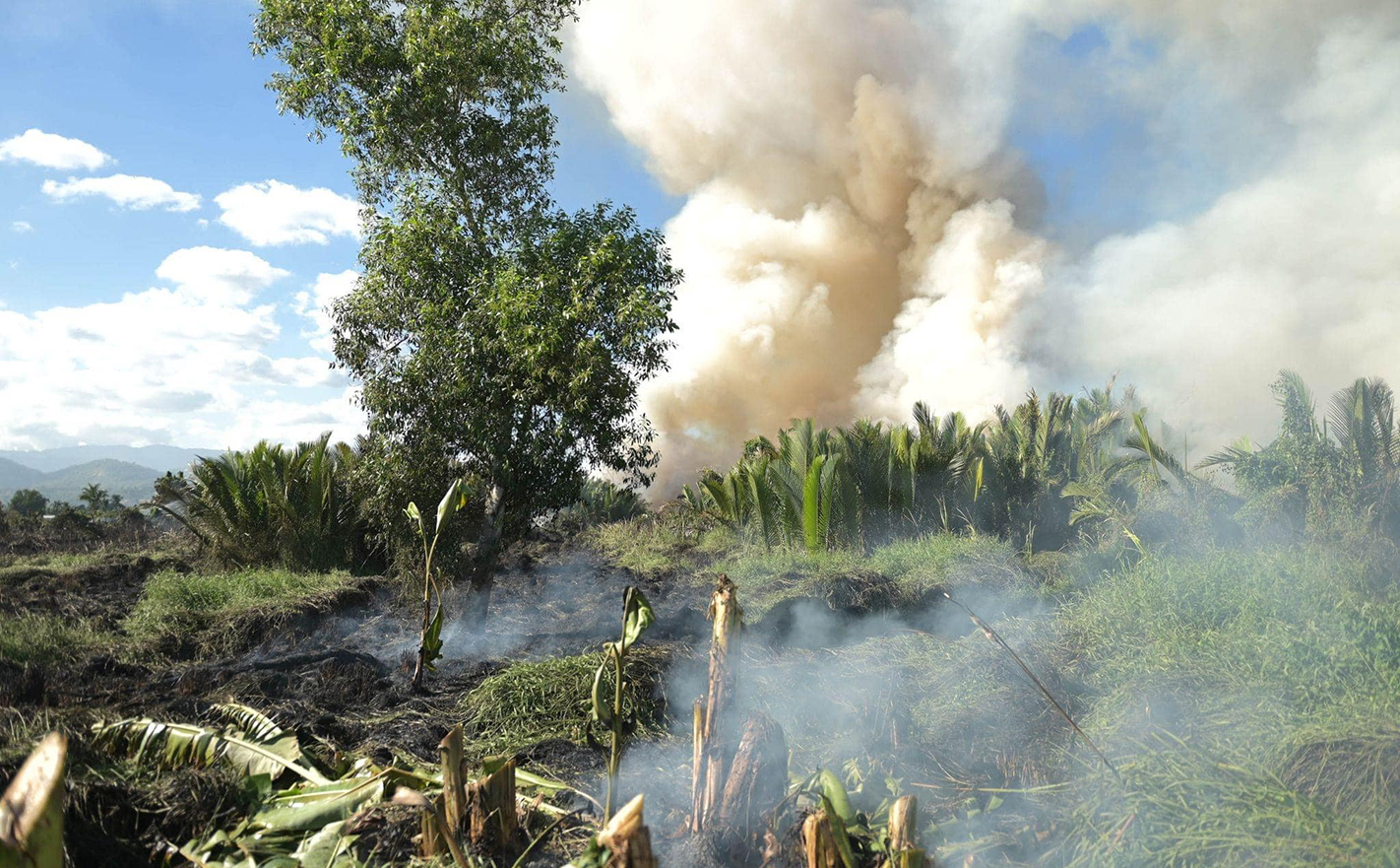 Eight hectares of grassland affected by Zamboanga City fire