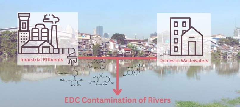 Endocrine-disrupting compounds found in 4 rivers in NCR, Region 3—UP study