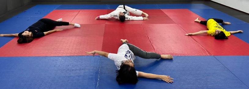 Free martial arts training for women