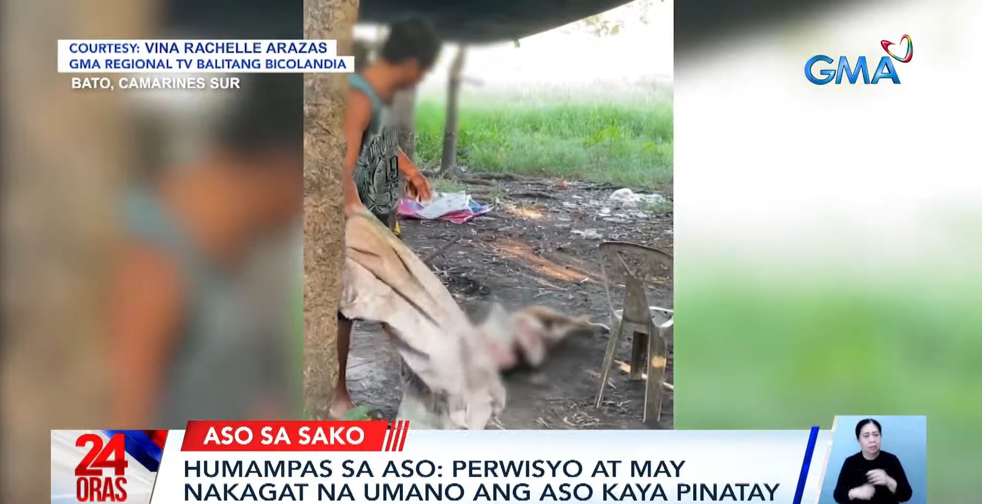 Dog beaten to death by neighbor in Camarines Sur