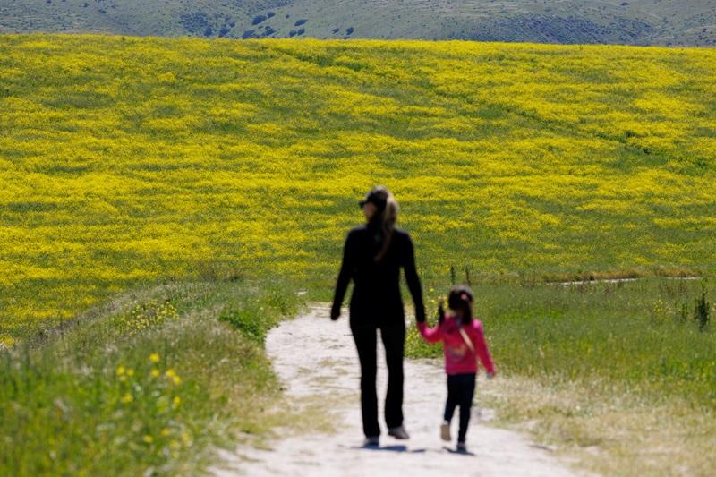 Extreme early-summer heatwave peaks in western US