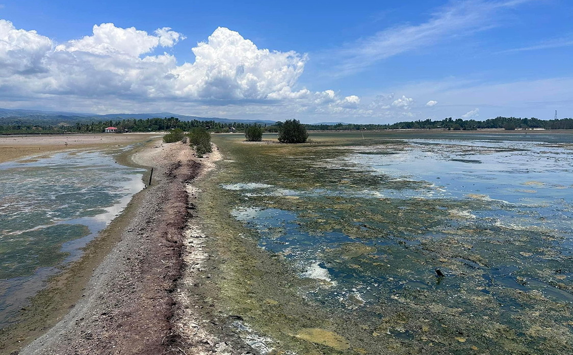 The extreme heat experienced across the Philippines because of El Niño is affecting the production of fishponds and seaweed farms in Zamboanga City.