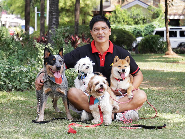 Top Fur Activities this Summer