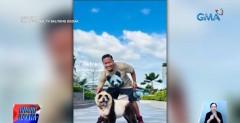 Mga alagang aso ng dog groomer na mistulang Panda at Pikachu, pinusuan ng netizens
 thumbnail
