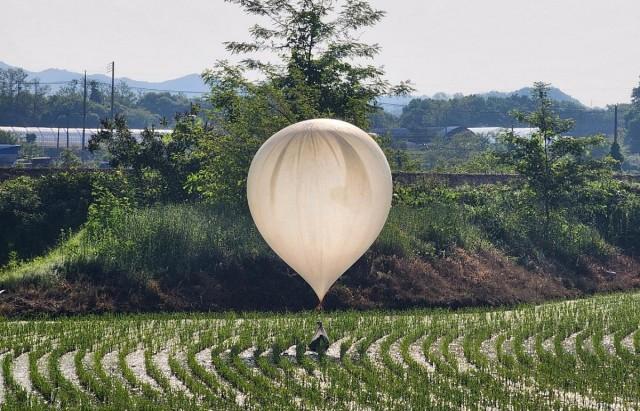 A balloon believed to have been sent by North Korea, carrying various objects including what appeared to be trash and excrement, is seen over a rice field at Cheorwon, South Korea, May 29, 2024. Yonhap via REUTERS