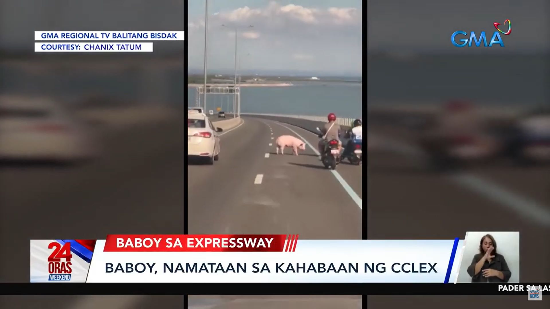 Baboy, namataang palakad-lakad sa Cebu–Cordova Link Expressway
 thumbnail