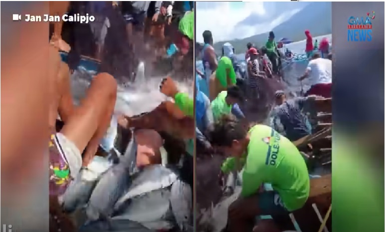 Sangkaterbang yellowfin tuna, nalambat sa Pagudpud, Ilocos Norte thumbnail