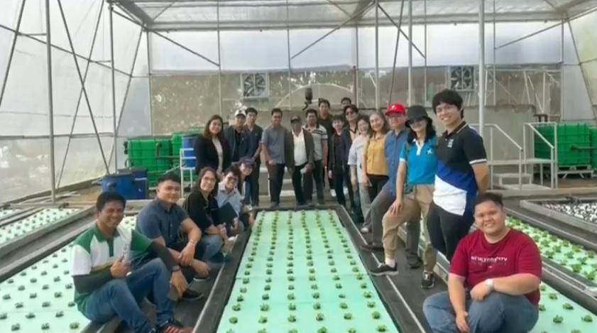 Automated greenhouse in Tagaytay uses fish waste to grow lettuce