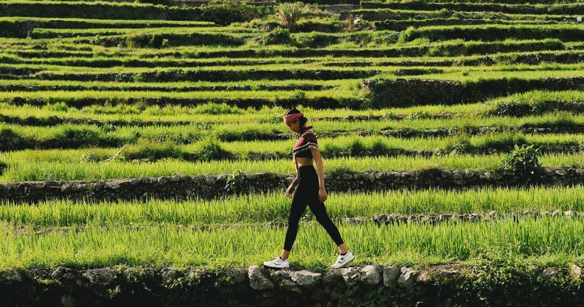 Michelle Dee shows off beauty of rice terraces in Buscalan in new video