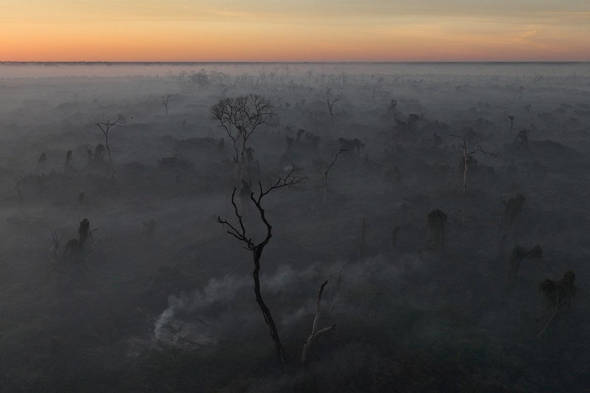 Fires ravage Brazil wetlands, incinerating snakes and monkeys