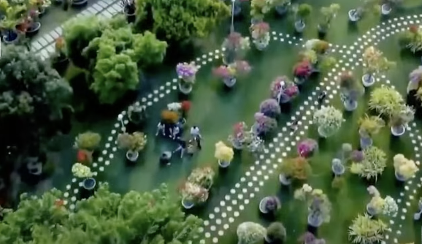 At this Nueva Ecija spot, Bougainvilla is the main attraction