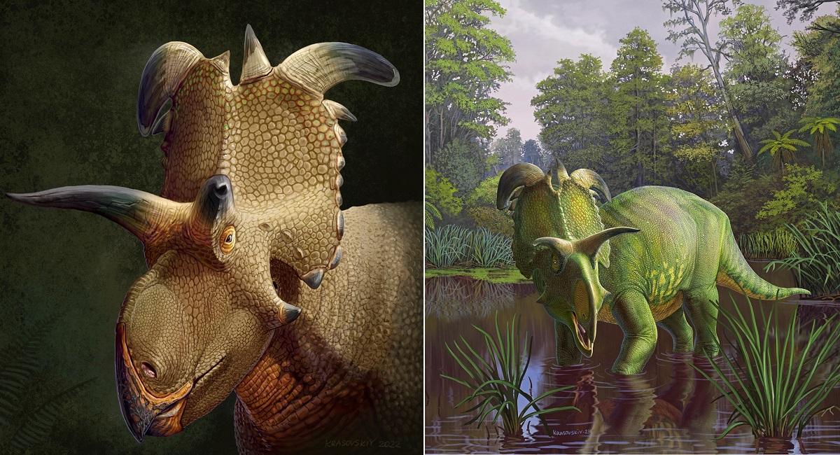 Newly discovered Lokiceratops dinosaur had horns like Norse god Loki’s