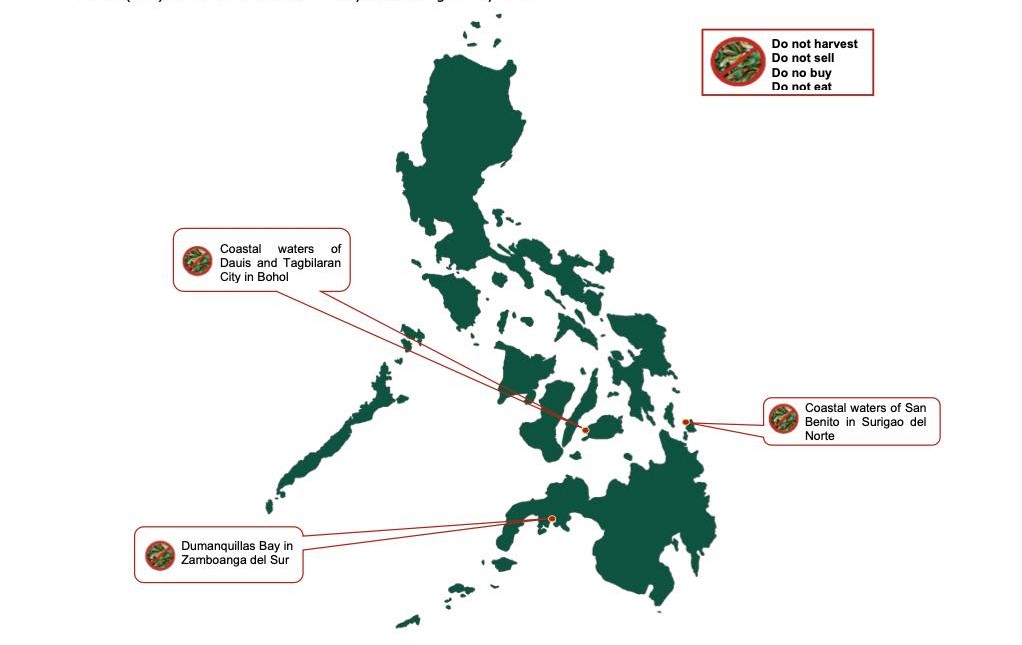 Toxic red tide detected in shellfishes in 3 provinces BFAR 