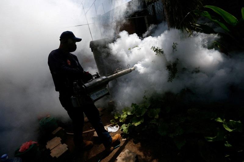 WHO launches plan to rein in ‘alarming’ global dengue spread