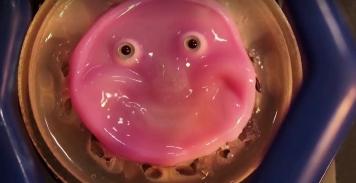 Say cheese: Japanese scientists make robot face 'smile' with living skin