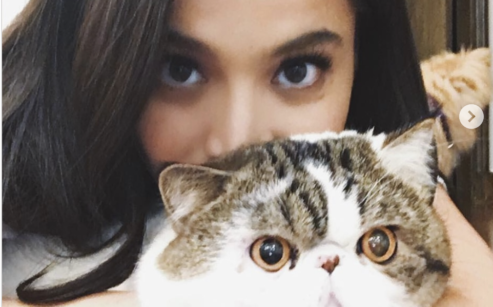 Anne Curtis mourns passing of 11-year-old cat Mogwai: ‘Sweet dreams, old man’