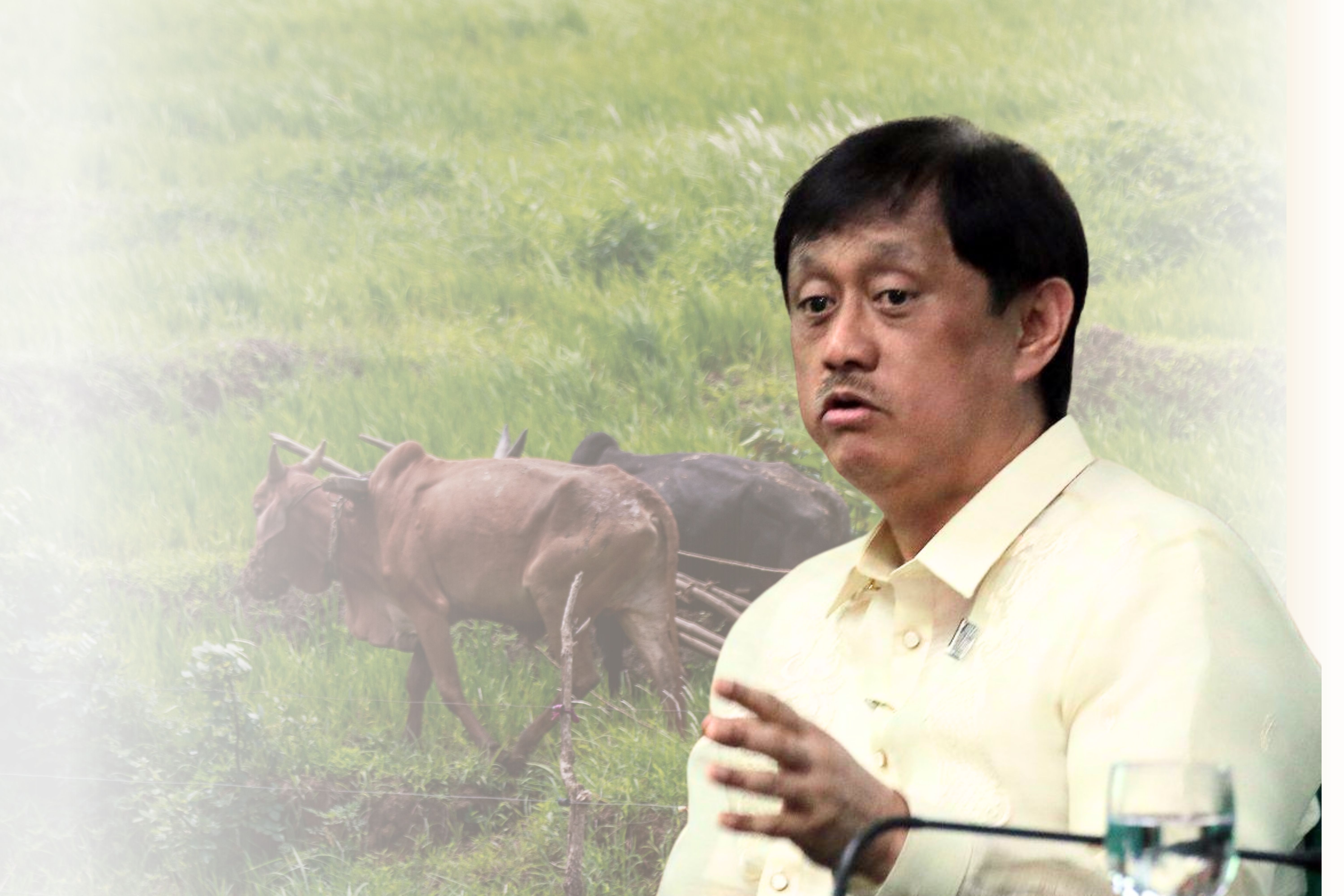 At least 800,000 land titles are eyed to be distributed to agrarian reform beneficiaries before the end of the Marcos administration.