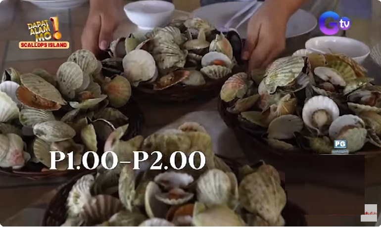 Isang isla sa Iloilo, unli ang scallops kaya tambak ang kabibe sa dalampasigan thumbnail