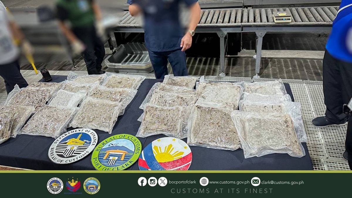 BOC seizes P17.169M worth 'kush' marijuana concealed in sofas