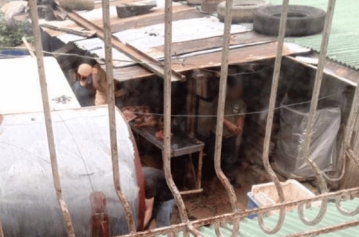 3 arrested for slaughtering, cooking dogs in Baguio City