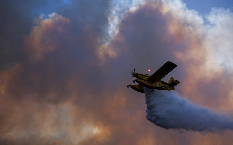 Three firefighters die as Portugal battles dozens of wildfires