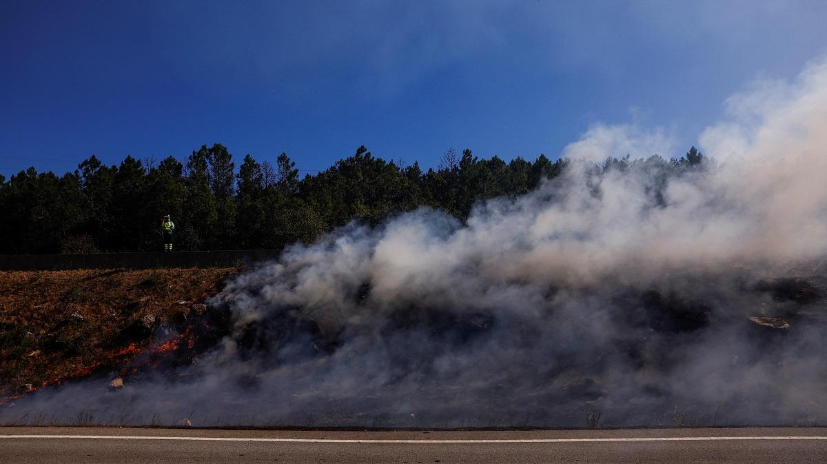 Firefighters quell most of Portugal's worst wildfires, fight still on