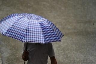 rain thumbnail umbrella thumbnail weather thumbnail 