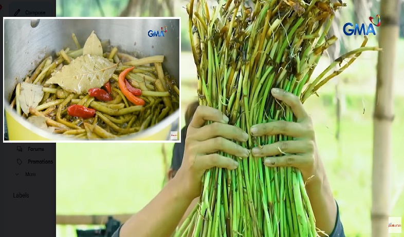 'Takway' na tinatawag din na 'pansit ng bukid,' masarap at may magandang epekto sa kalusugan thumbnail