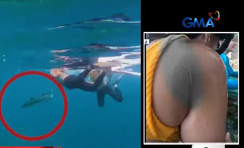 Freediver, nasugatan sa atake ng isdang barracuda sa dagat ng Batangas thumbnail