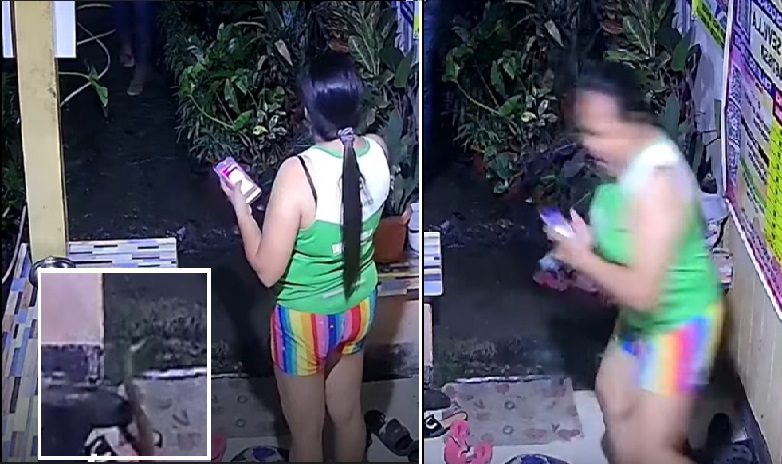 Babae, walang kamalay-malay na muntik na siyang tuklawin ng cobra sa balkonahe ng kanilang bahay thumbnail