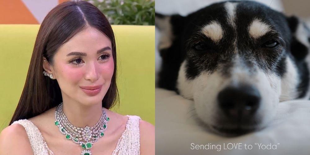 Heart Evangelista 'sends love' to Yoda the aspin | GMA News Online